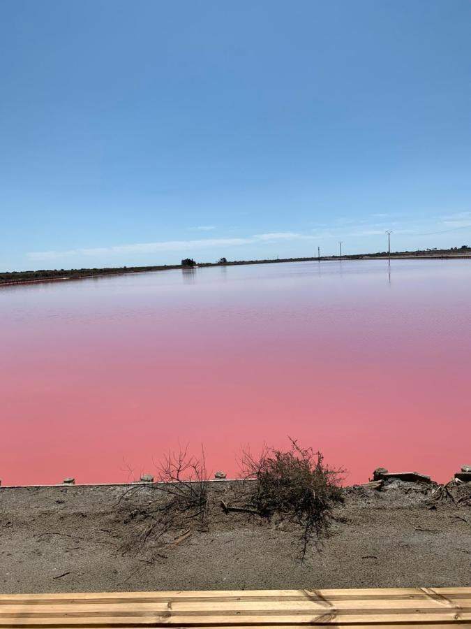Cabane Sirius Aigues-Mortes Kültér fotó
